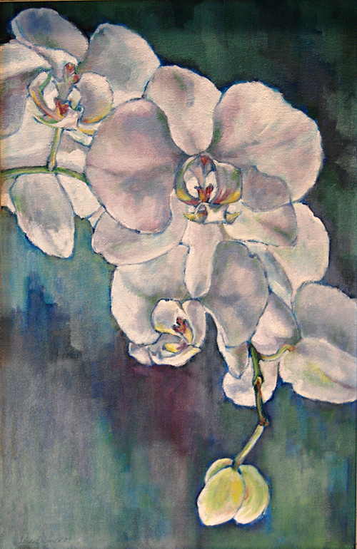 Orchids